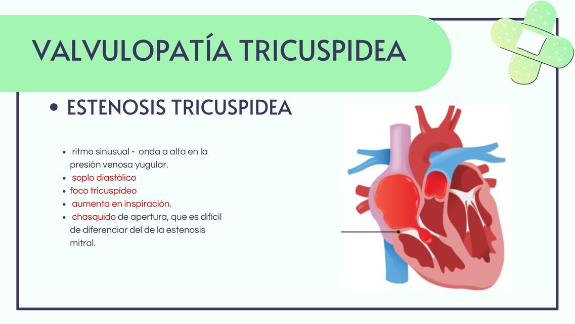 Práctica médica: sistemas circulatorio y respiratorio 