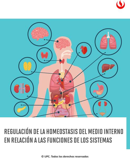 Regulación de la Homeostasis del Medio Interno en Relación a las Funciones de los Sistemas