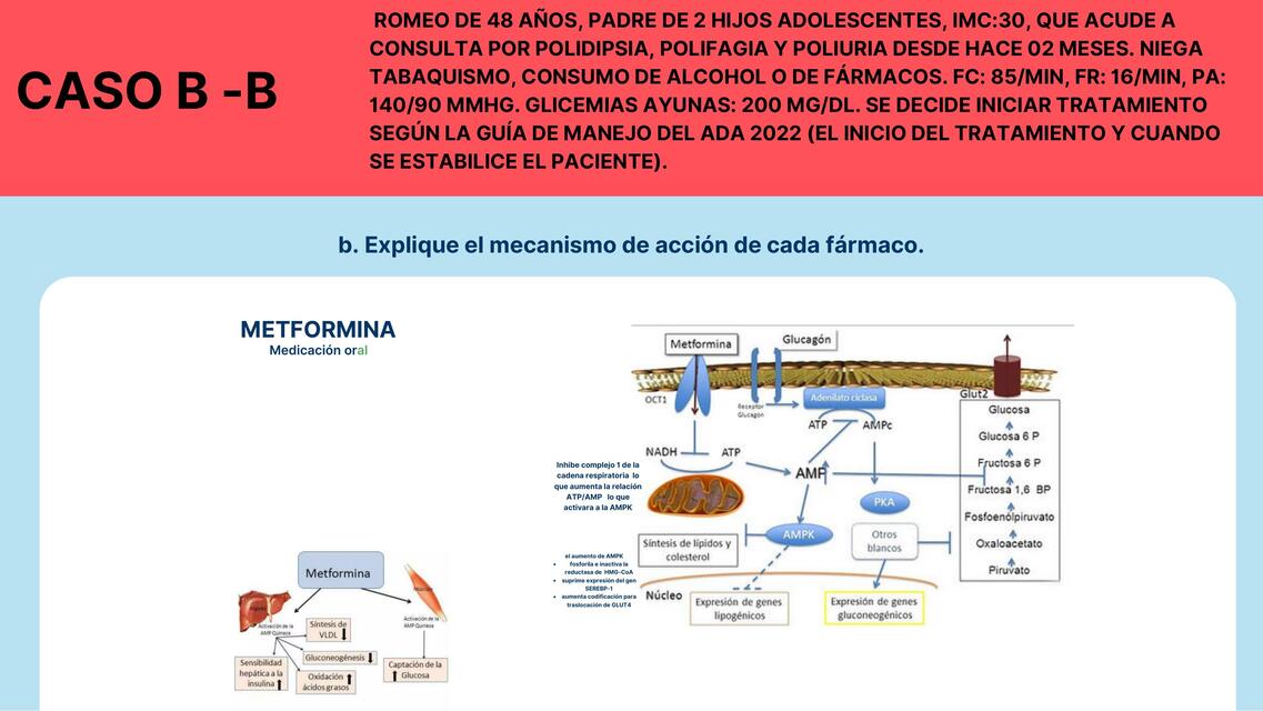  Mecanismo de acción de cada fármaco