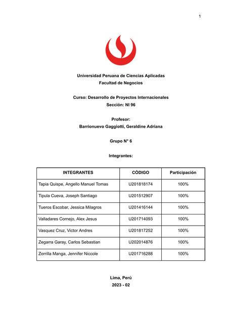 Desarrollo de Proyectos Internacionales 