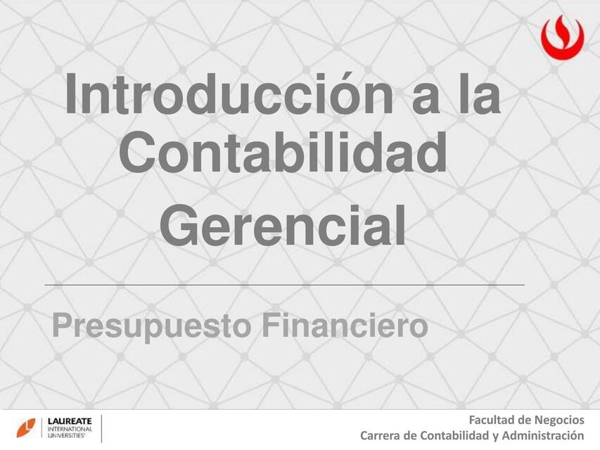 Presupuesto Financiero 