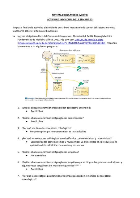 Sistema circulatorio | Alexander Rangel | uDocz