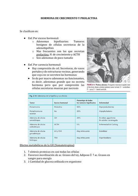 Hormona de crecimiento y prolactina 