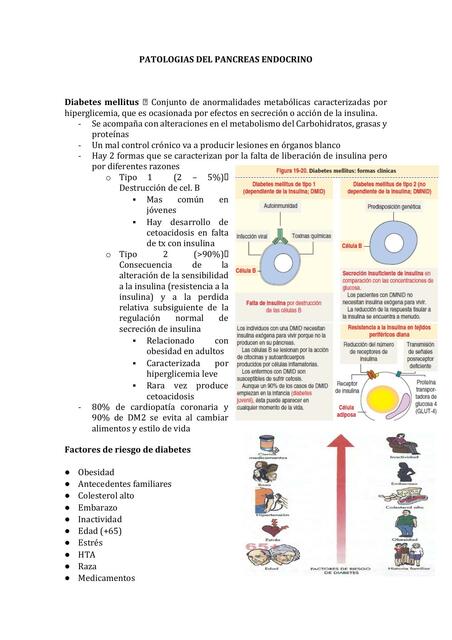 Patologías del pancreas endocrino 