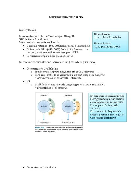 Metabolismo del calcio 