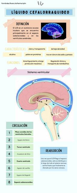 Líquido cefalorraquideo 