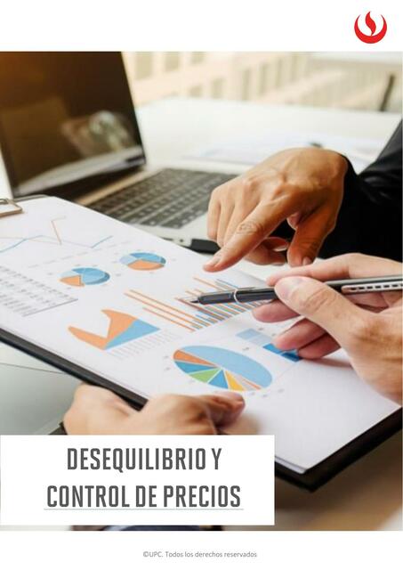 Desequilibrio y Control de Precios 