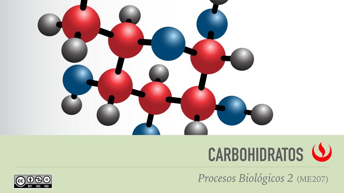 Carbohidratos