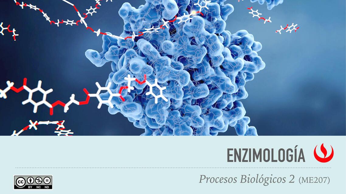 Procesos Biológicos Enzimología 