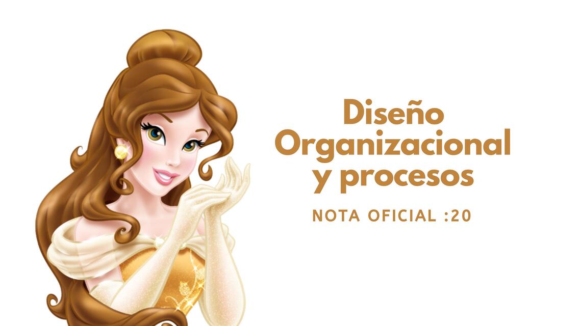 Diseño Organizacional y procesos 