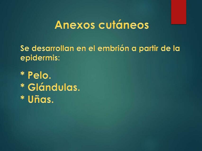 Anexos Cutáneos 