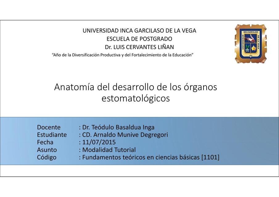 Anatomía del desarrollo de los órganos estomatológicos 