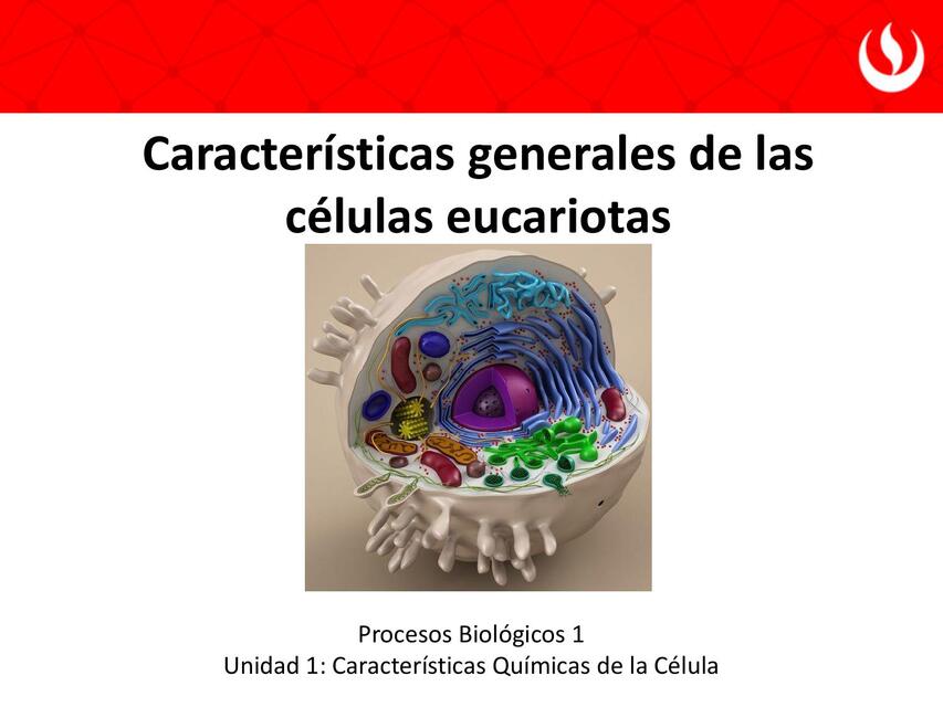 Características generales de las células eucariotas 