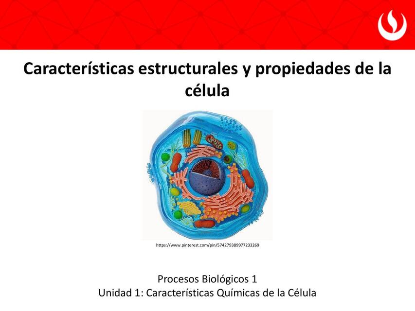 Características estructurales y propiedades de la célula 