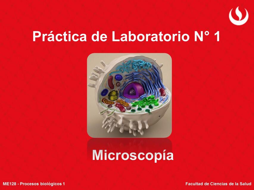 Práctica de Laboratorio N°1 