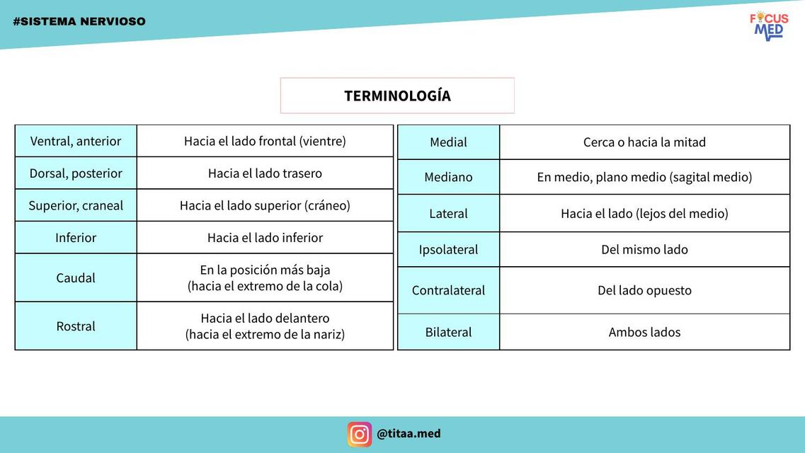 Sistema Nervioso 