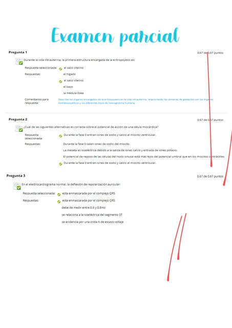 Examen Parcial 