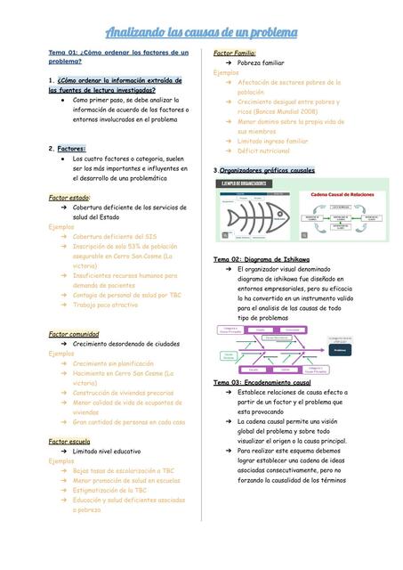 Analizando las Causas de un Problema 