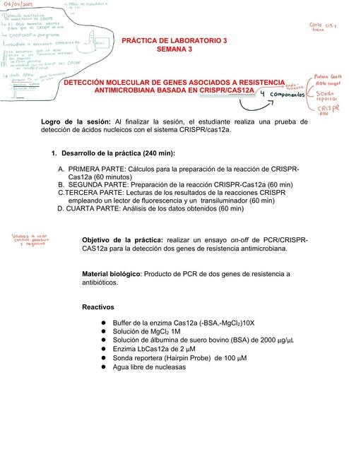 Detección Molecular de Genes Asociadas a Resistencia Antimicrobiana 