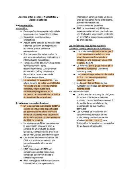 Nucleótidos y Ácidos Nucleicos 