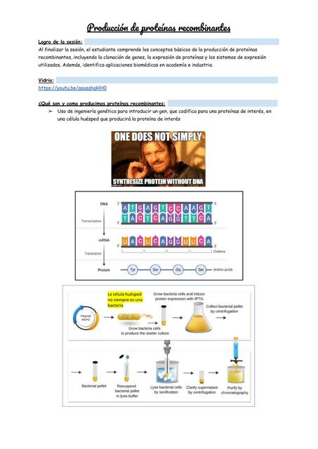 Producción de Proteínas Recombinantes 