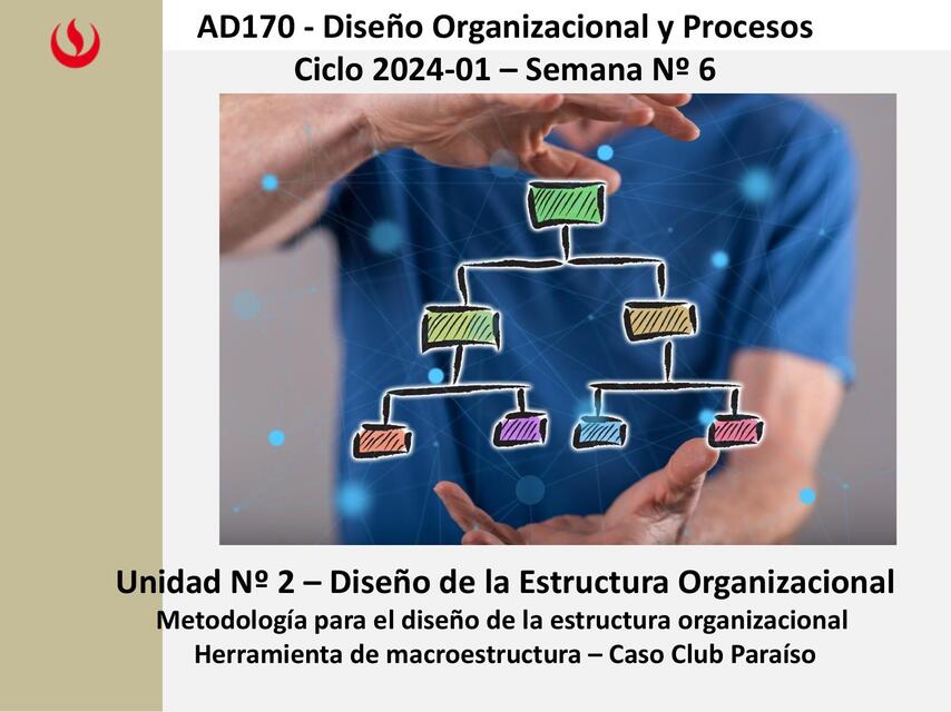 Diseño organizacional y procesos 