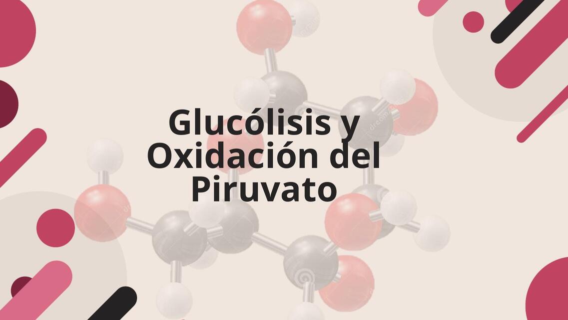 Glucólisis y Oxidación del Piruvato