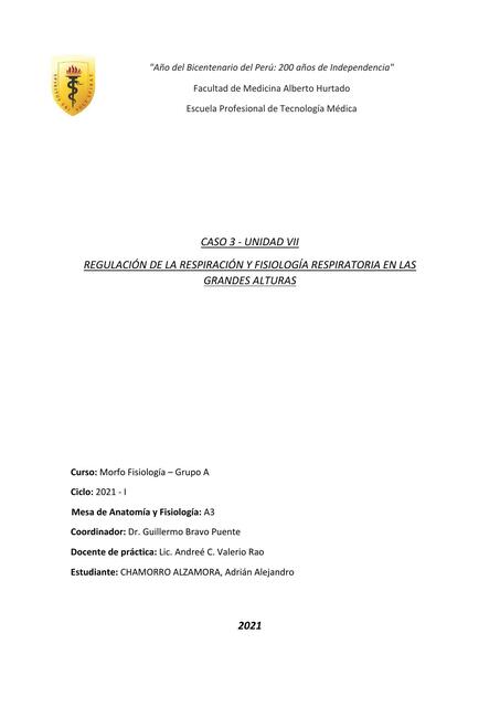 Regulación de la respiración y fisiología respiratoria en las grandes alturas 