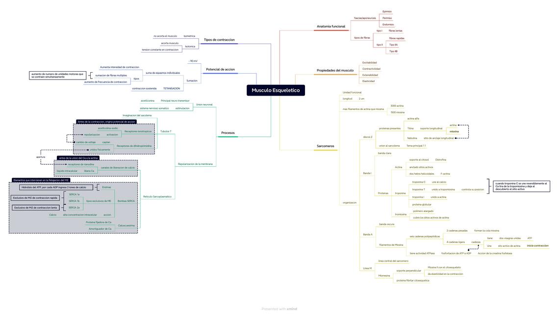 Fisiología del Musculo Esquelético