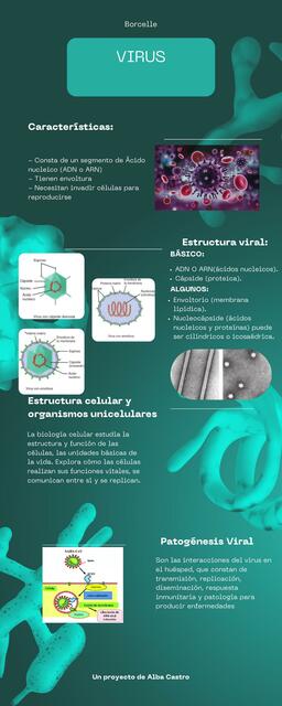 Infografía de los virus