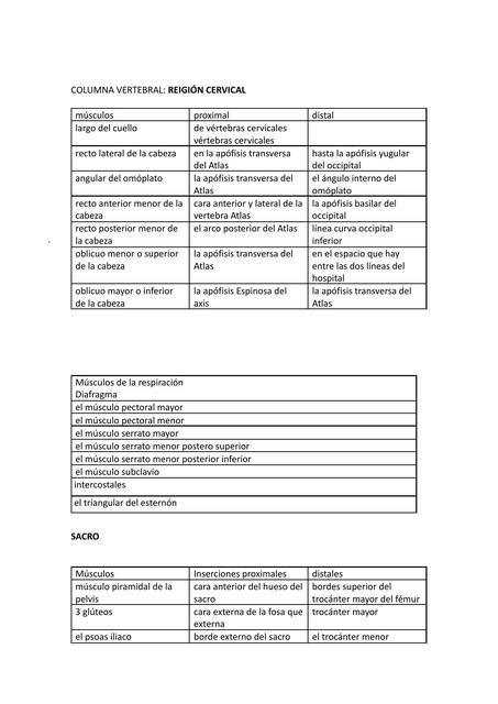 MÚSCULOS DE COLUMNA