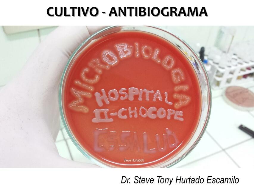 UROCultivo y Antibiograma | MiddleMedic | uDocz