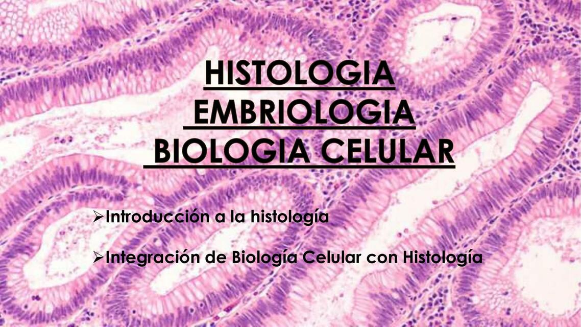 Histologia embriologia biologia celular 