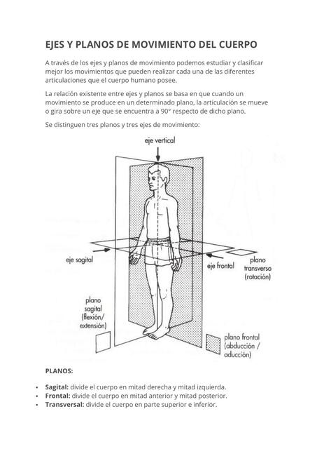 Ejes y planos de movimiento del cuerpo 