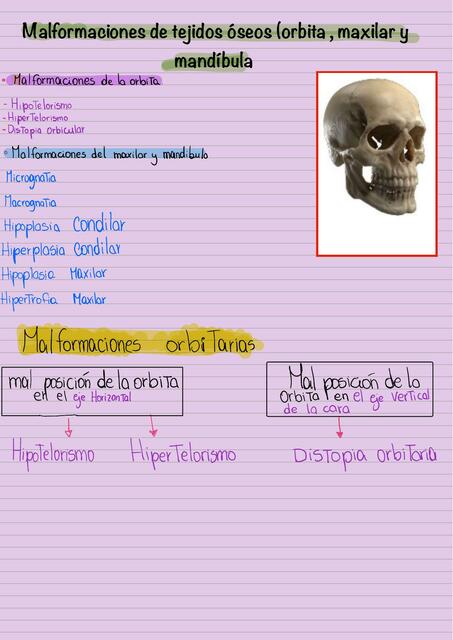 Resumen pato periodontitis y malformaciones Maxil