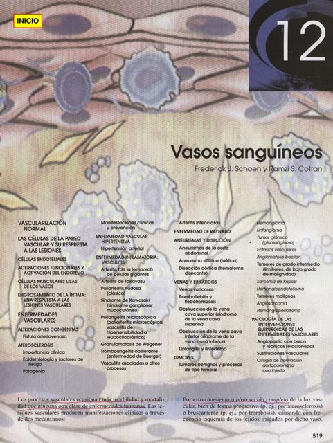  Vasos sanguíneos