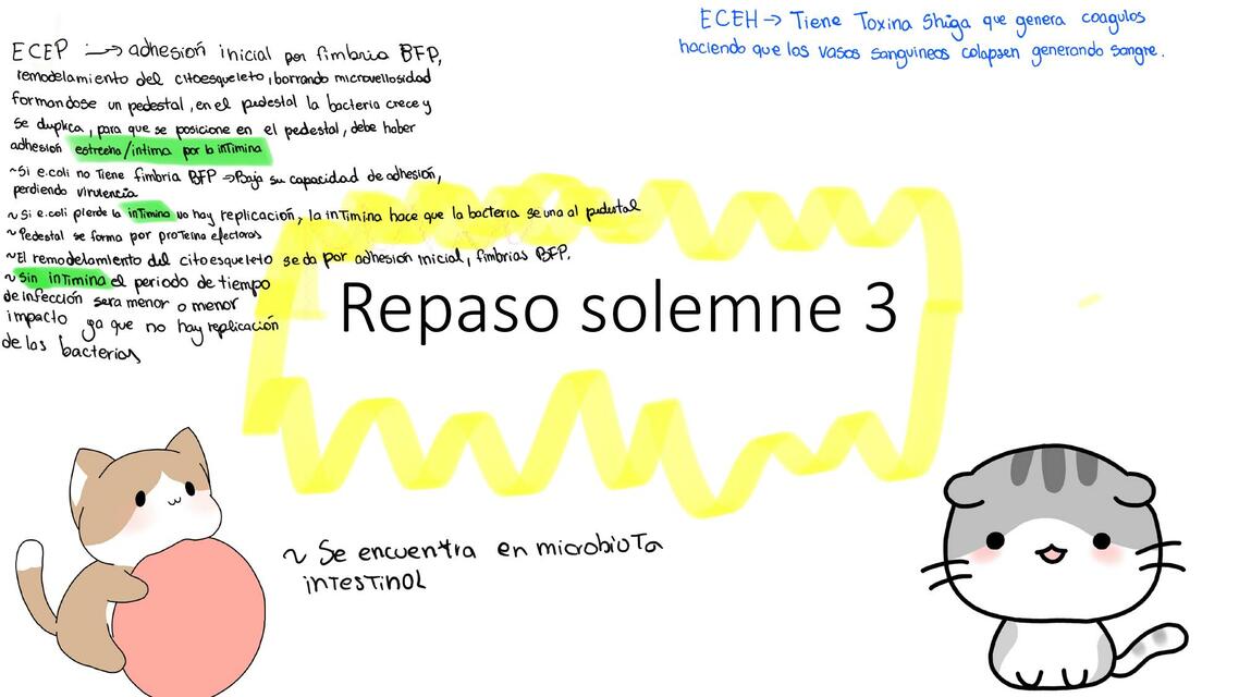 Repaso solemne 3 