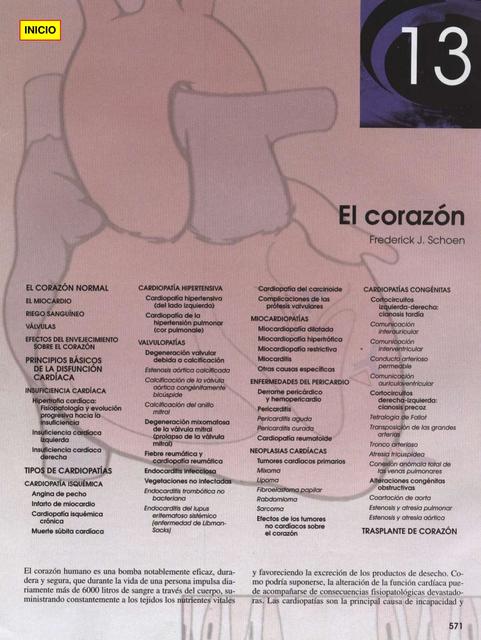  El corazón