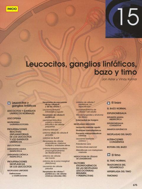  Leucocitos ganglios linfáticos bazo y timo