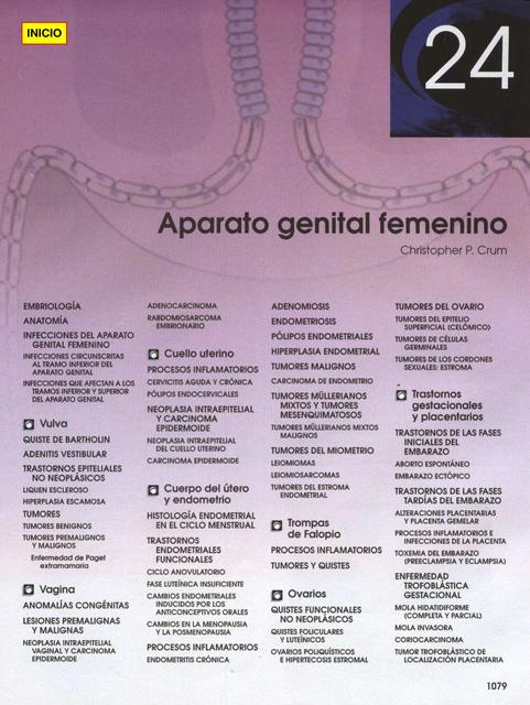  Aparato genital femenino