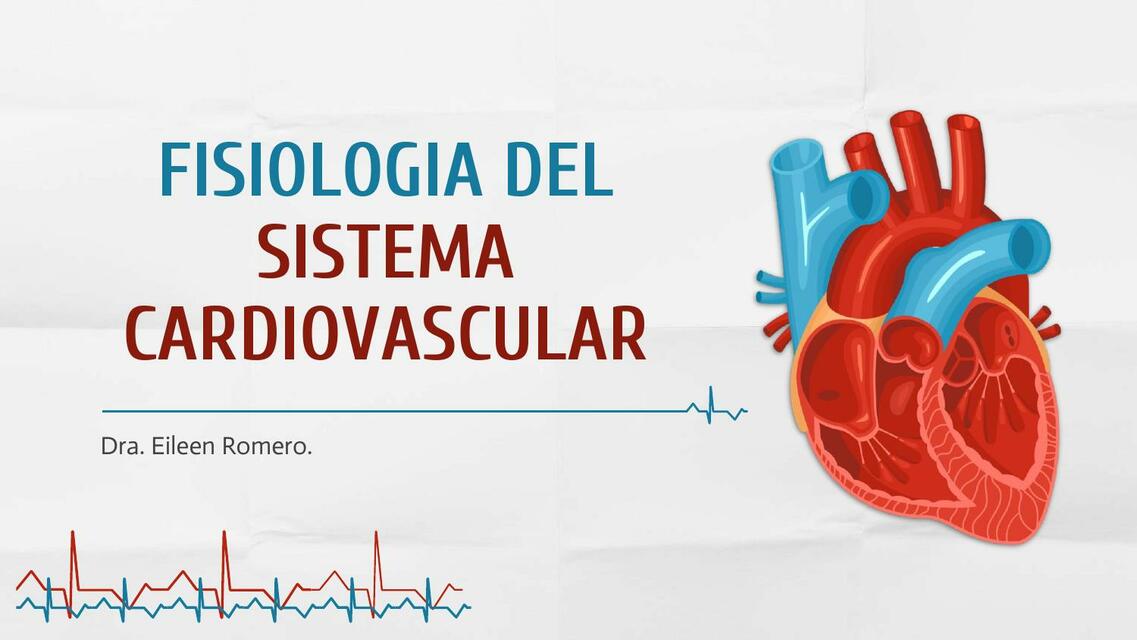 Fisiología del Sistema Cardiovascular 