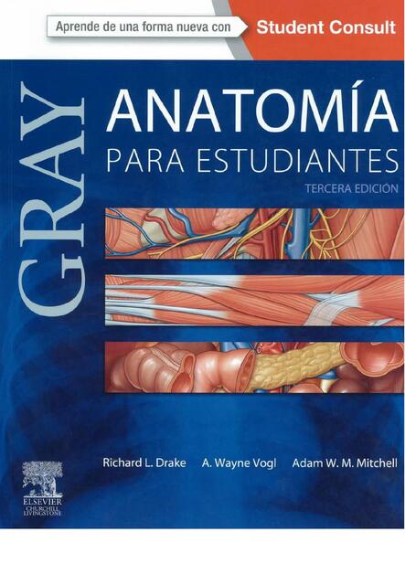 Anatomía para Estudiantes 