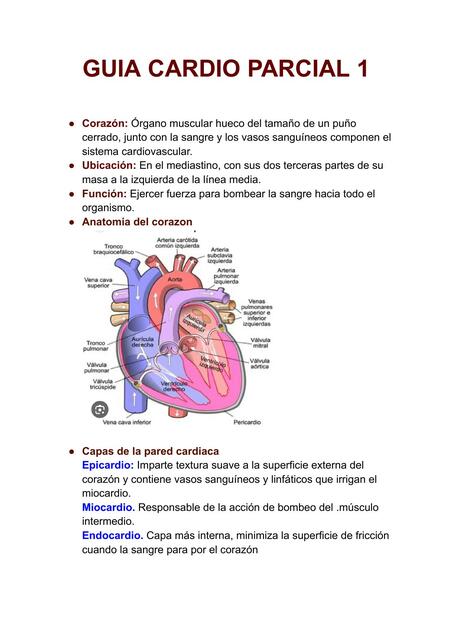 Cardiologia