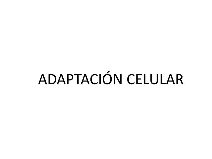 Adaptación celular