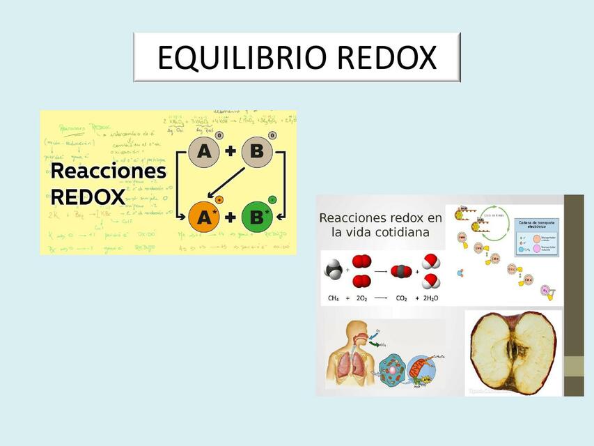 Equilibrio Redox