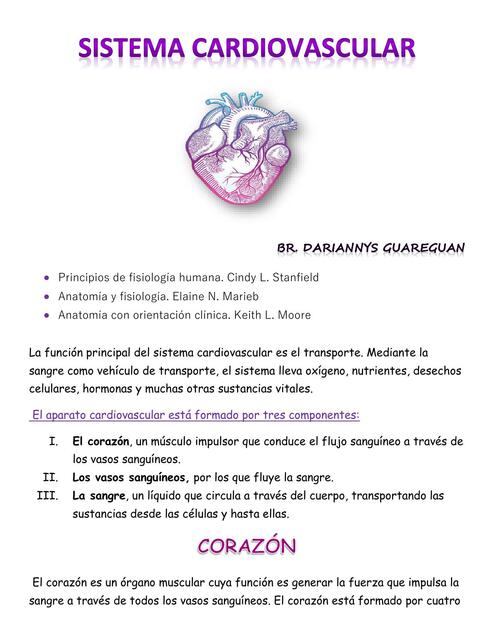 Sistema cardiovascular