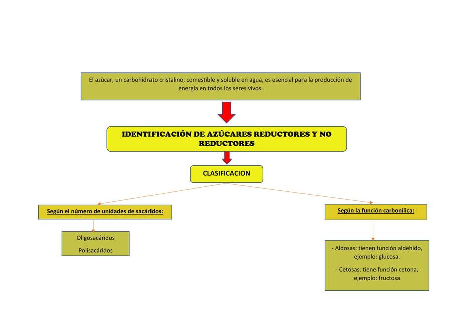 QUIMICA 15