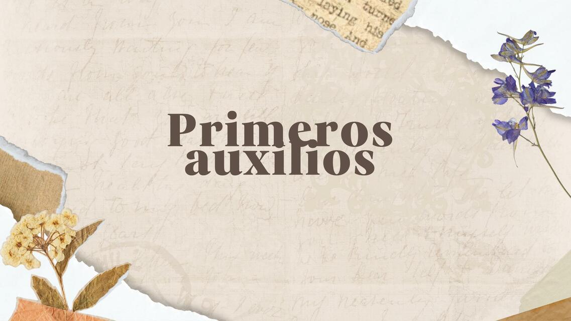 Primeros auxilios PC