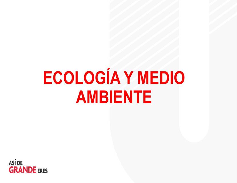 Ciclos Biogeoquímicos