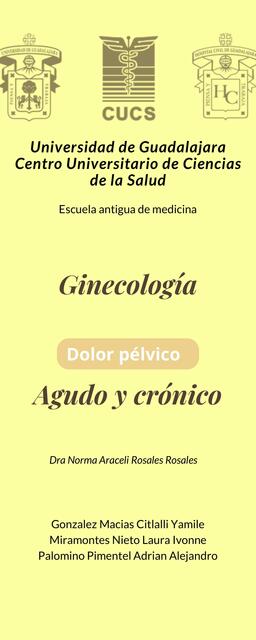 Dolor pélvico agudo y crónico